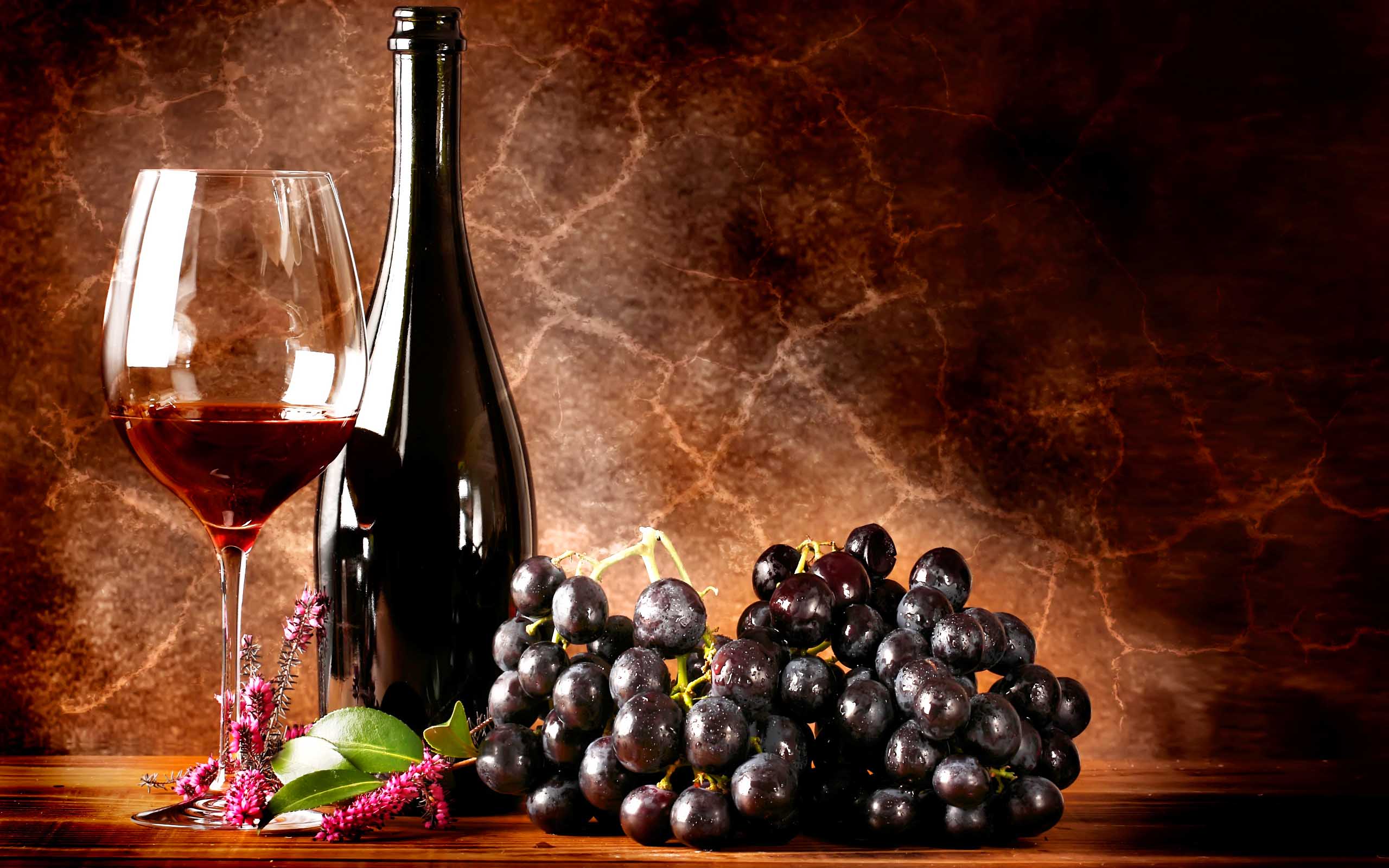 10 dos melhores vinhos tintos nacionais