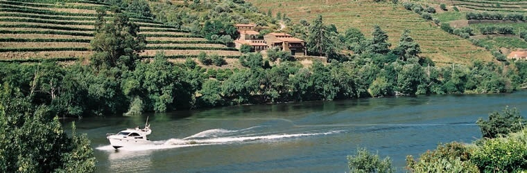 Vinho Tinto nacional arrecada medalha de Platinum tinto nacional arrecada medalha