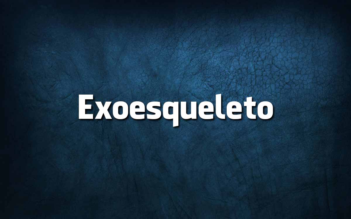 24 Palavras novas na língua portuguesa 24 Palavras novas na língua portuguesa