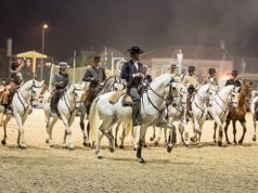 Golegã, a vila ribatejana para descobrir Golegã
