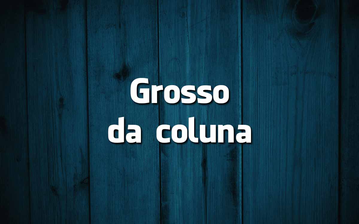 17 frases feitas