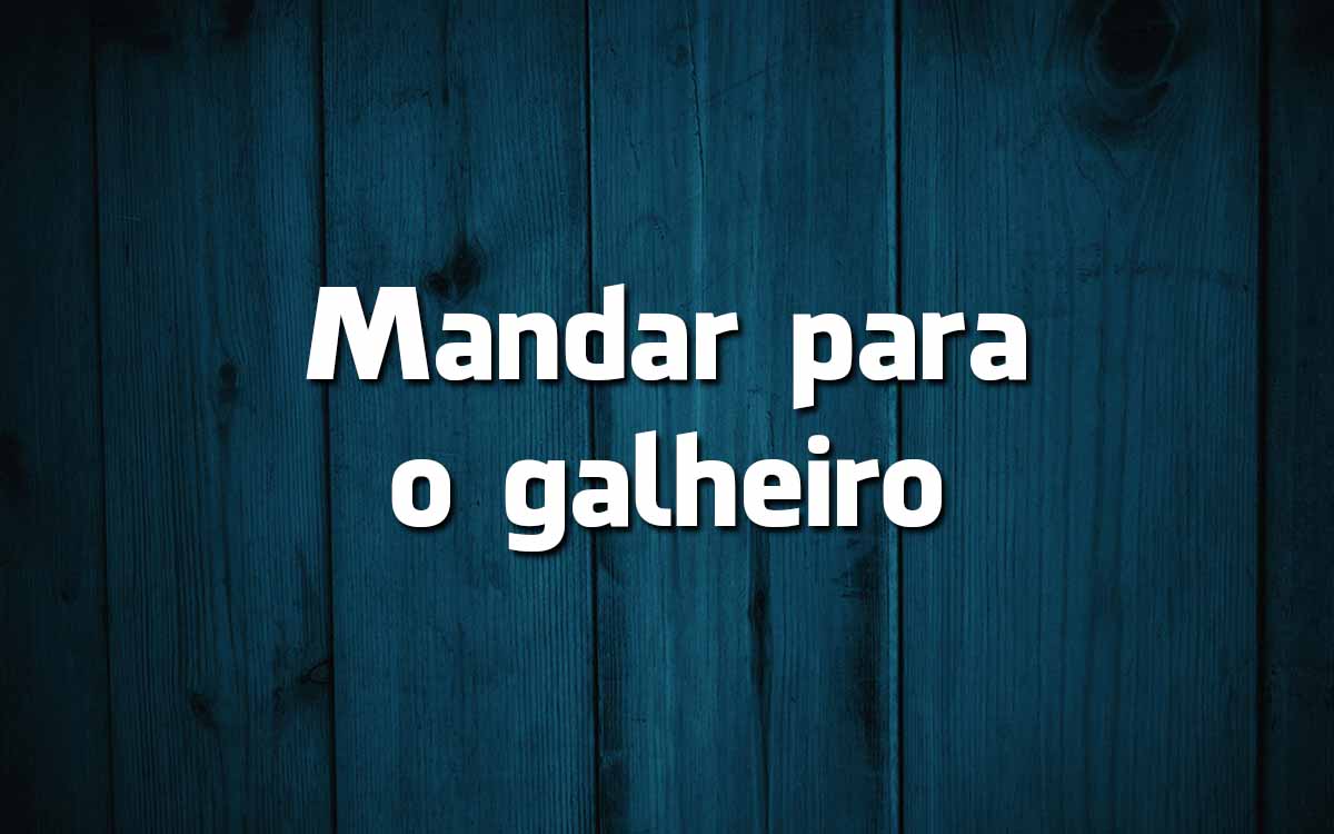 17 frases feitas