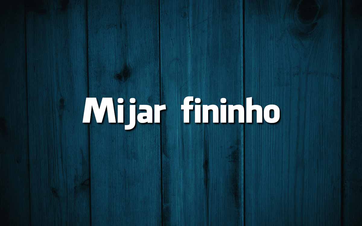 17 frases feitas