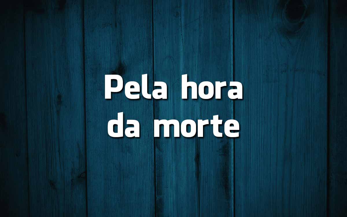 17 frases feitas