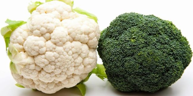 10 alimentos que ajudam a prevenir o cancro e fazem bem à saúde alimentos