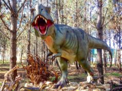 Dino Parque na Lourinhã