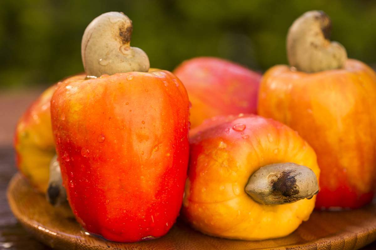 10 frutas especialmente boas para a saúde frutas especialmente boas para a saúde