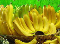 A banana e os benefícios para a saúde dos miúdos e graúdos banana e os benefícios para a saúde