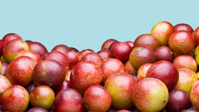 10 frutas especialmente boas para a saúde frutas especialmente boas para a saúde