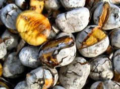 12 benefícios das castanhas para a sua saúde