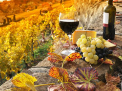 Os 10 Melhores Vinhos Tintos portugueses abaixo de 5 euros Melhores Vinhos Tintos portugueses