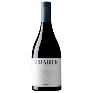 Vinhos Tintos para brindar no Réveillon Vinhos Tintos para brindar