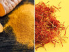 Açafrão e curcuma: diferenças e benefícios para a saúde Açafrão e curcuma