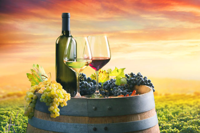 Descubra os benefícios, tipos e contra-indicações do vinho e deixe-se surpreender. Saiba tudo sobre Vinho Tinto, Branco, Verde e Rosé. tudo sobre Vinho Tinto