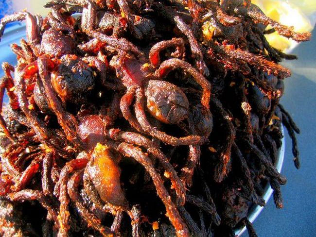 Teria coragem? 20 pratos estranhos ou simplesmente nojentos 20 pratos estranhos