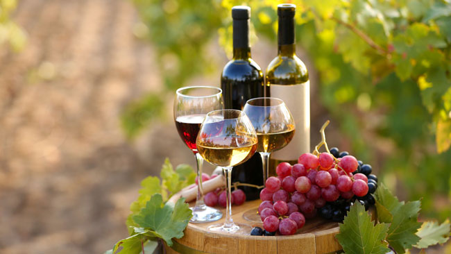 diferenças entre Vinho Tinto e branco