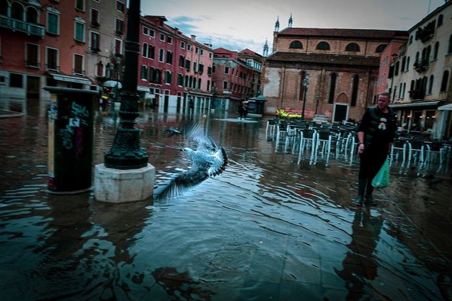 Veneza durante inundação (fotos impressionantes) Veneza durante inundação