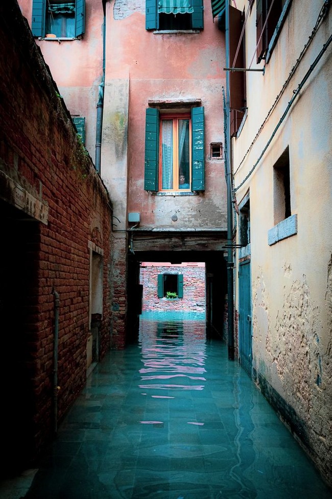 Veneza durante inundação (fotos impressionantes) Veneza durante inundação