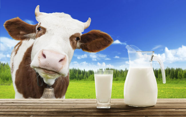 alternativas ao leite