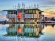 Curiosidades imperdíveis do Oceanário de Lisboa