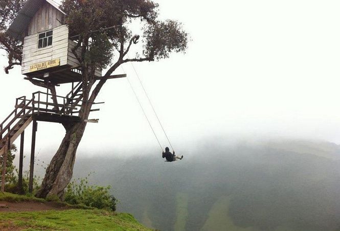 29 Pessoas loucas por uma fotografia viral fotografia viral