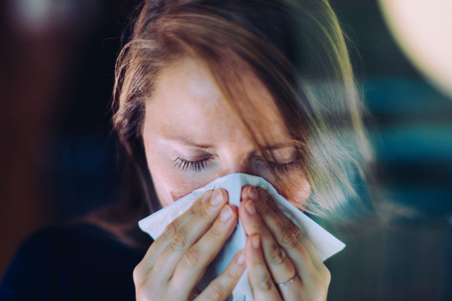 7 Chás que ajudam a combater a gripe Chás que ajudam a combater a gripe
