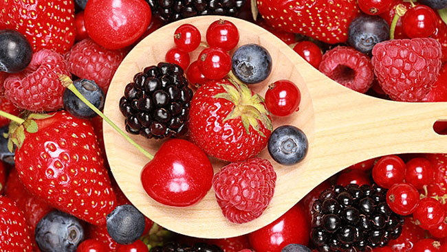 Vinho tinto e frutos vermelhos previnem doenças mentais Vinho tinto e frutos vermelhos
