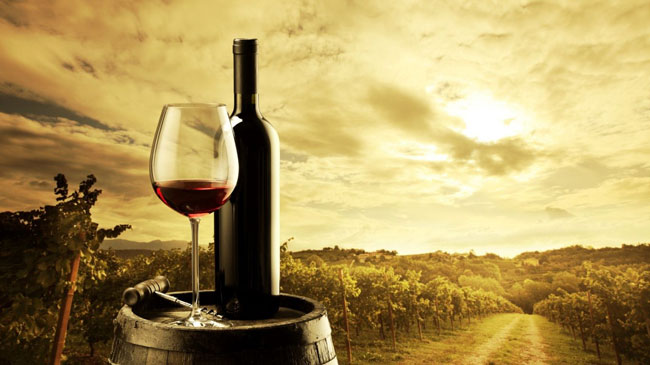 As 8 razões para beber vinho tinto 8 razões para beber vinho tinto