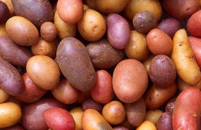 Aprenda a fazer batatas assadas