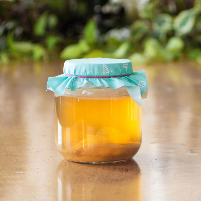 Kombucha: benefícios e contraindicações Kombucha