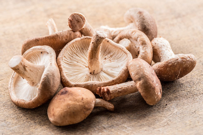 Descubra os tipos e benefícios dos Cogumelos