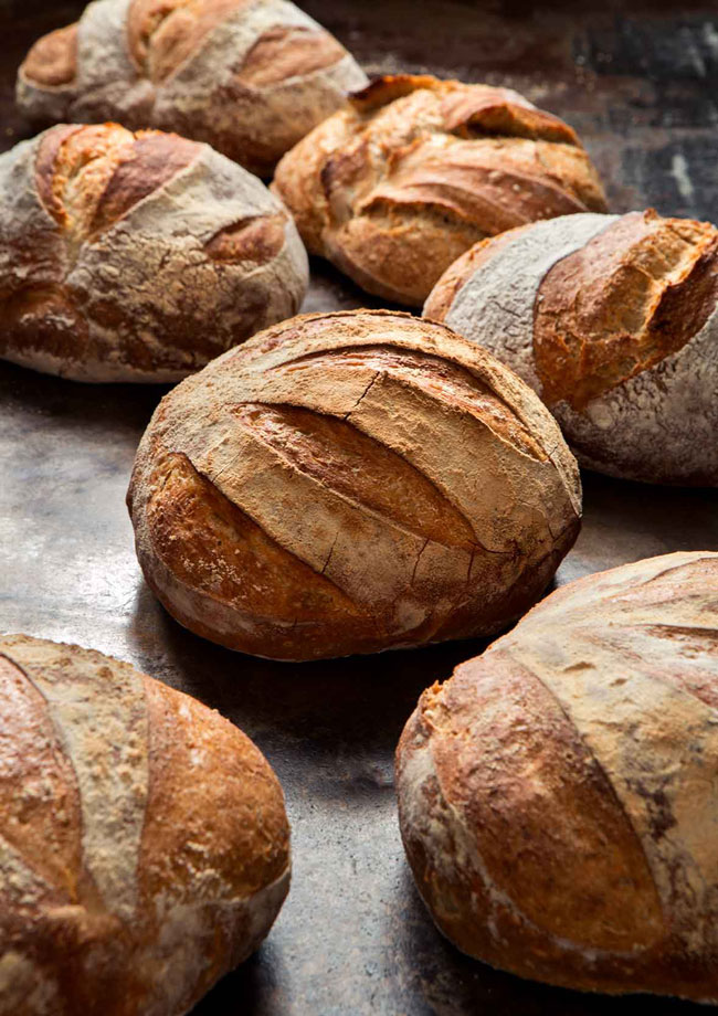 Pão, amigo ou inimigo? Descubra os malefícios e benefícios do pão malefícios e benefícios do pão