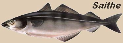 Aprenda a fazer o bacalhau perfeito fazer o bacalhau perfeito