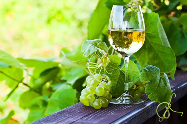 razões para beber Vinho Verde