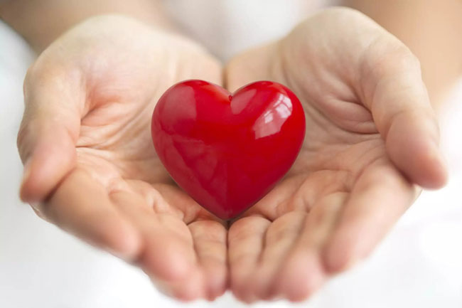 mitos sobre o coração