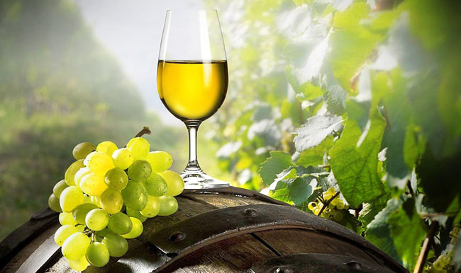 razões para beber Vinho Verde