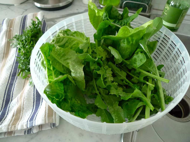 Dieta saudável: 10 benefícios da rúcula, um alimento sensacional benefícios da rúcula