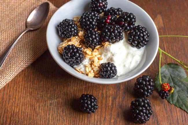 Dieta saudável: os benefícios da amora, um fruto fantástico benefícios da amora