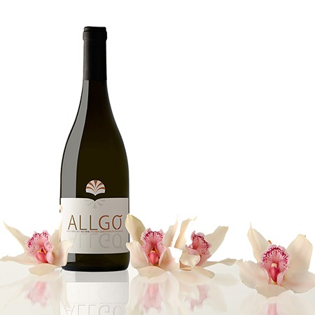 Tinto nacional conquista troféu “Melhor Vinho do Dão” Melhor Vinho do Dão