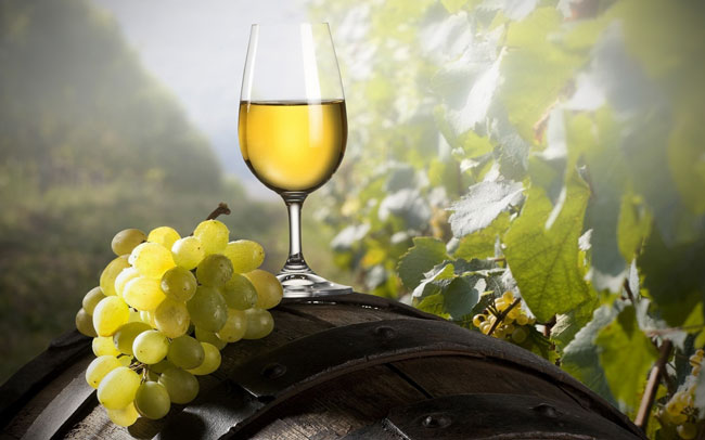 factos sobre o vinho verde