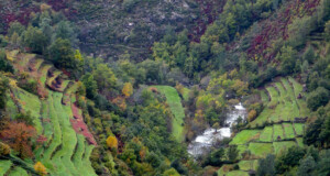 Aldeia portuguesa eleita