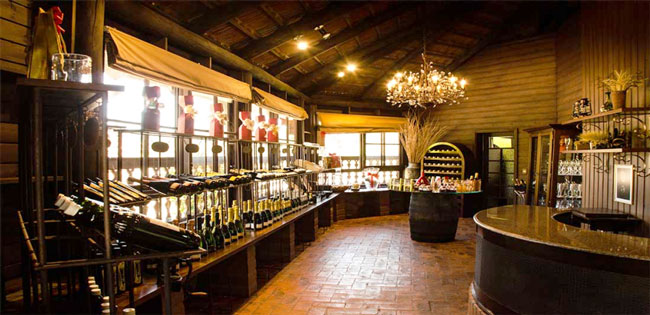 Tinto ou branco? Vinho brasileiro conquista medalha de ouro em Portugal Vinho brasileiro