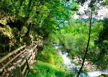 Aldeia portuguesa eleita