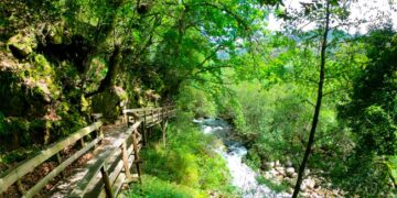 Aldeia portuguesa eleita