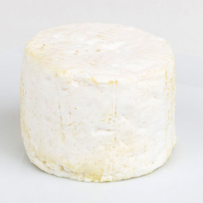 melhores queijos do mundo
