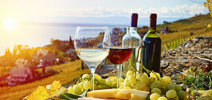 Tintos e brancos! Aprenda a servir vinhos corretamente servir vinhos corretamente