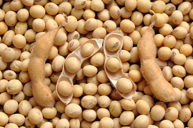 10 alimentos que parecem saudáveis, mas podem não ser alimentos que parecem saudáveis