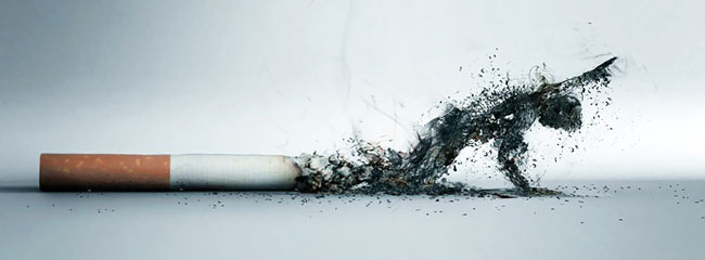 Quer deixar de fumar? Siga estes truques simples e úteis deixar de fumar
