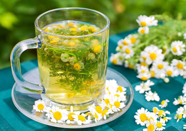 Guia de chás e infusões, imprescindível e obrigatório conhecer Guia de chás e infusões