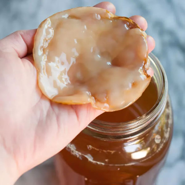 Conheça a Kombucha, a bebida poderosa com fantásticos benefícios Conheça a Kombucha
